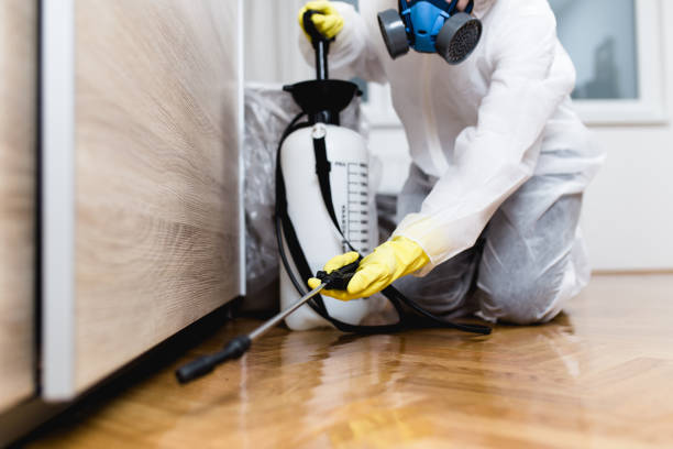 Best Affordable Pest Control Services  in Schaumburg, IL