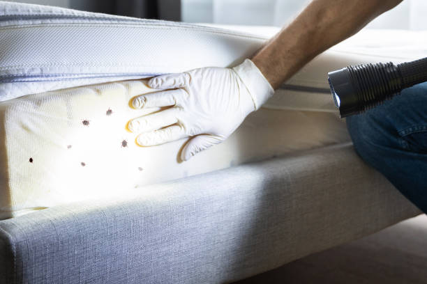 Best Exterminator Services  in Schaumburg, IL