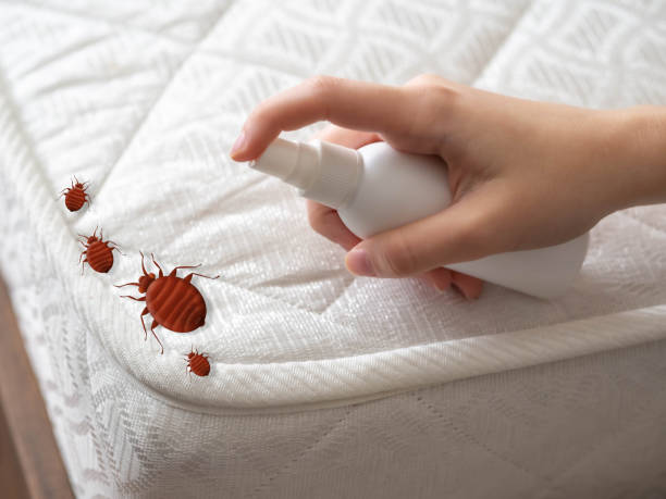 Best Pest Inspection Near Me  in Schaumburg, IL