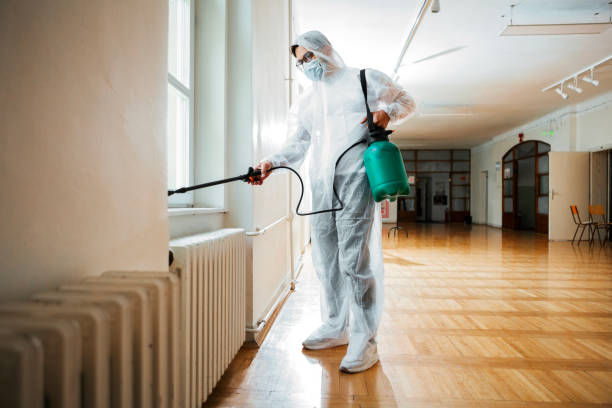 Best Local Pest Control Services  in Schaumburg, IL