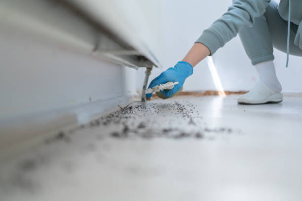 Best Pest Control Near Me  in Schaumburg, IL